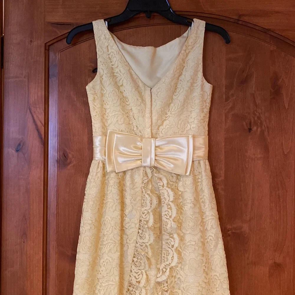Vintage Formal Dress - Picture 6 of 17